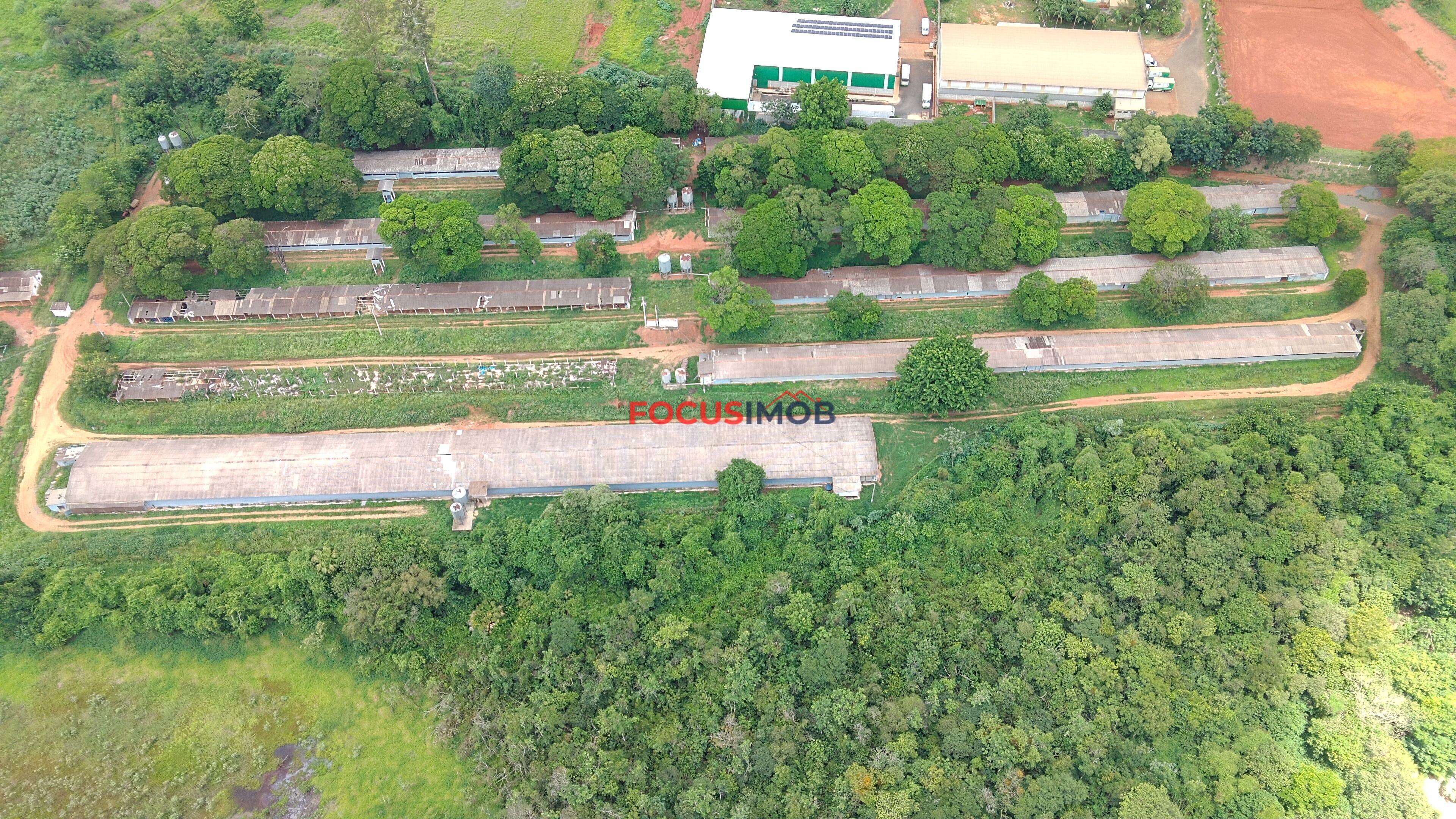 Propriedade Rural com 7 Granjas Aviárias – Estrutura Ativa e Renda Imediata
