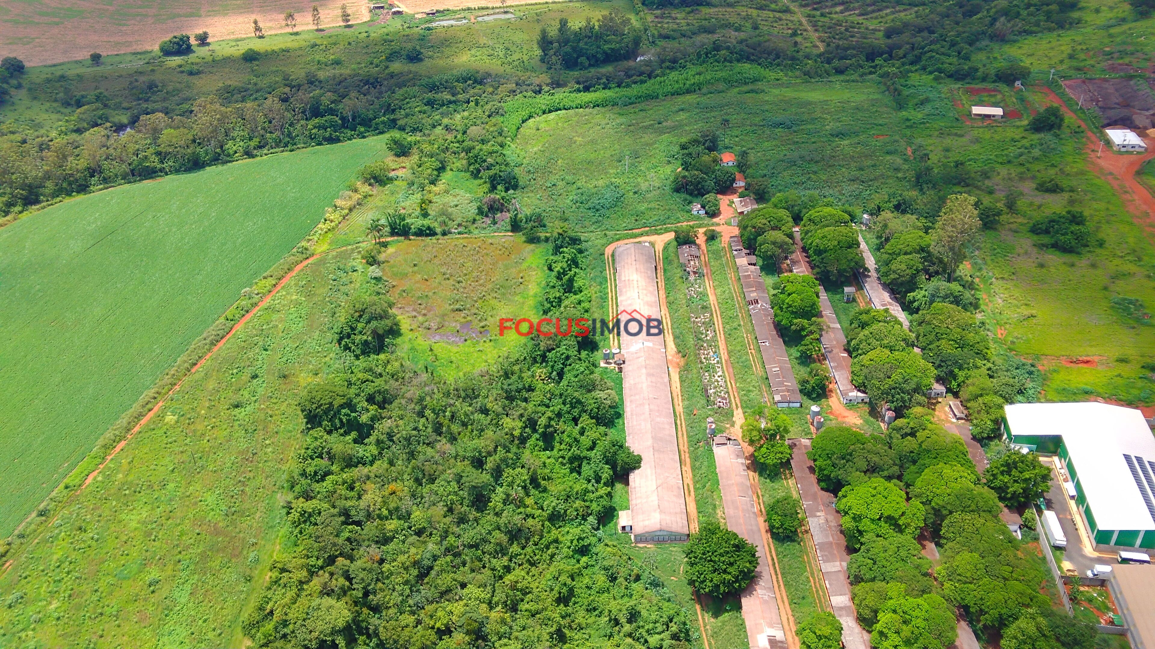 Propriedade Rural com 7 Granjas Aviárias – Estrutura Ativa e Renda Imediata