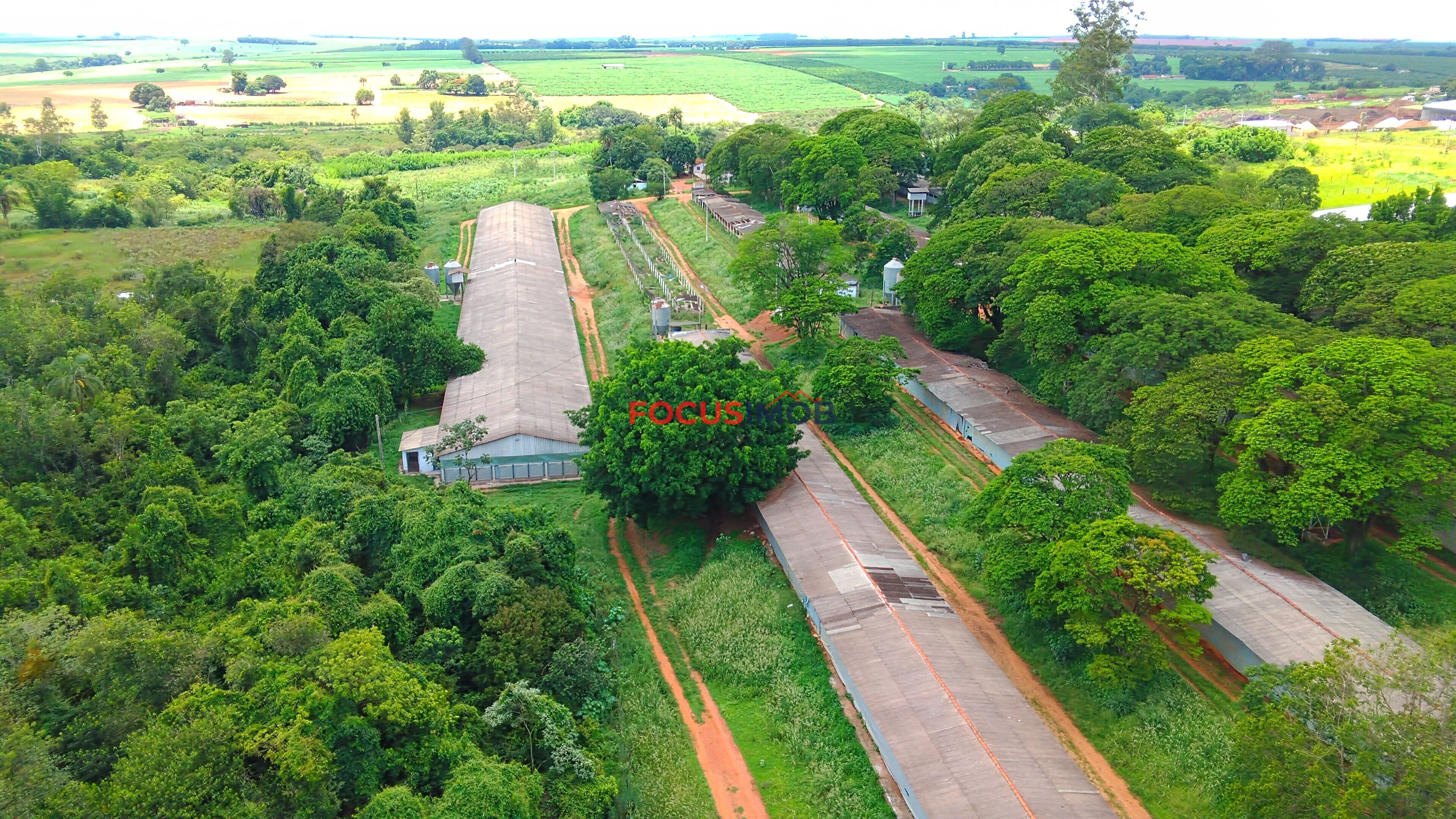 Propriedade Rural com 7 Granjas Aviárias – Estrutura Ativa e Renda Imediata