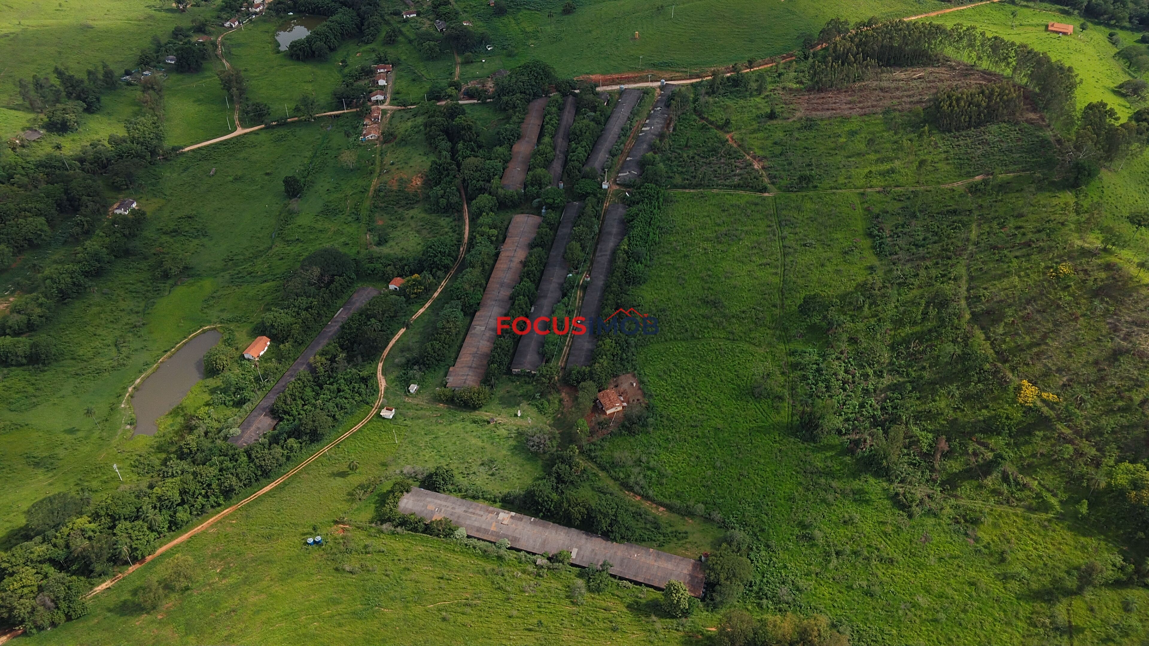 Propriedade Rural à Venda em Itapira/SP – 10 Alqueires com 9 Granjas Aviárias