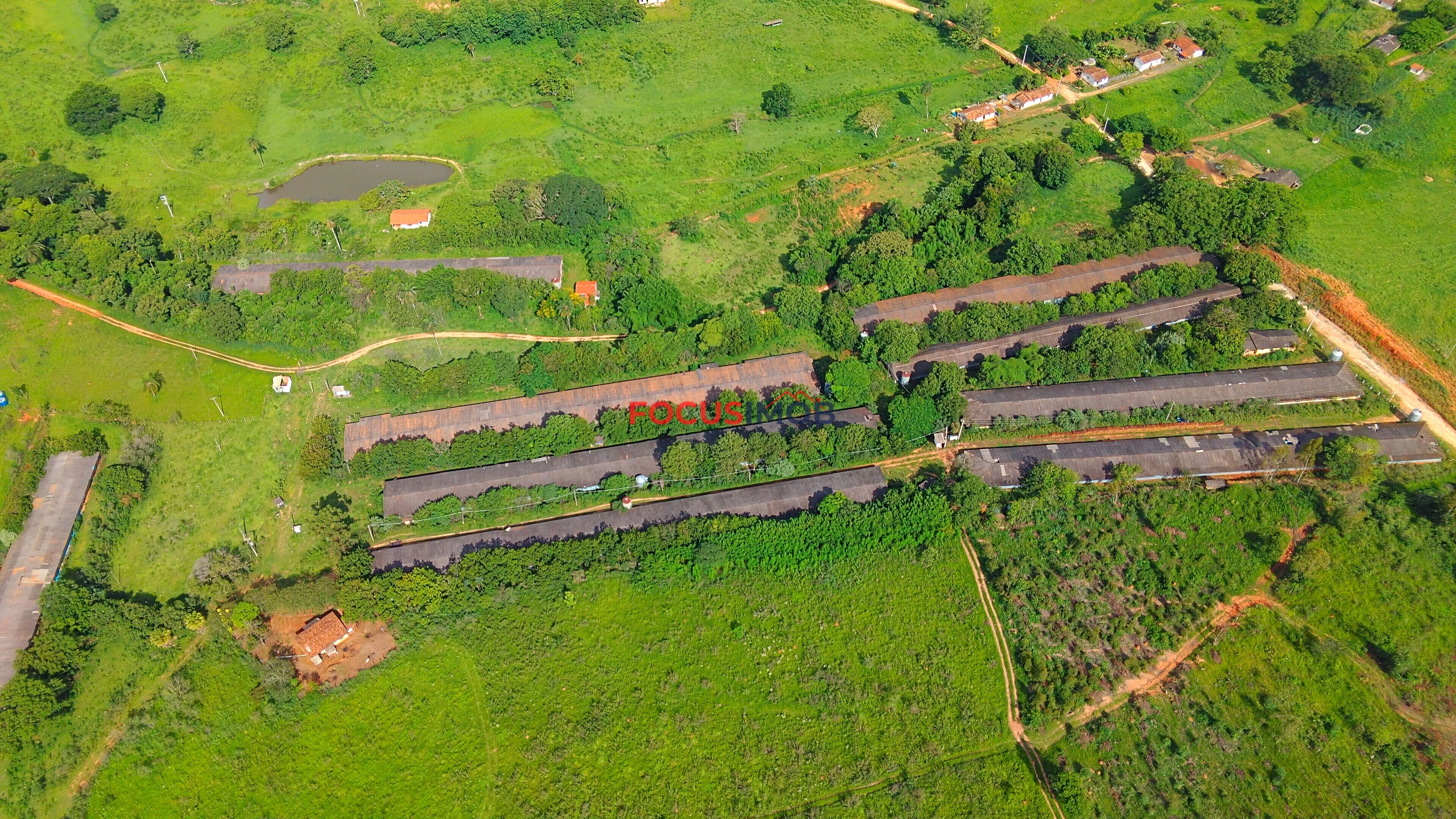 Propriedade Rural à Venda em Itapira/SP – 10 Alqueires com 9 Granjas Aviárias