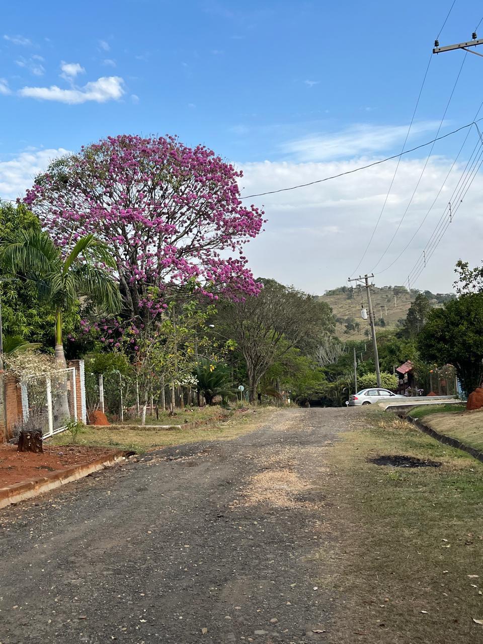CHACARA À VENDA EM CONDOMINIO NA ROSEIRA MOGI GUAÇU