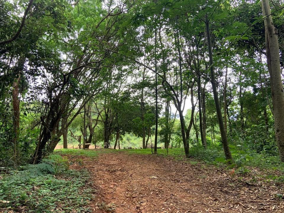 CHACARA À VENDA EM CONDOMINIO NA ROSEIRA MOGI GUAÇU