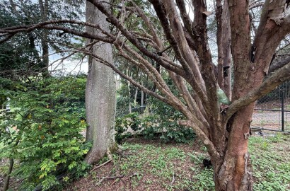 CHACARA À VENDA ROSEIRA EM CONDOMINIO