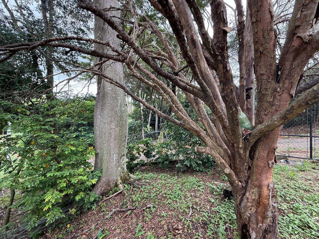 CHACARA À VENDA ROSEIRA EM CONDOMINIO
