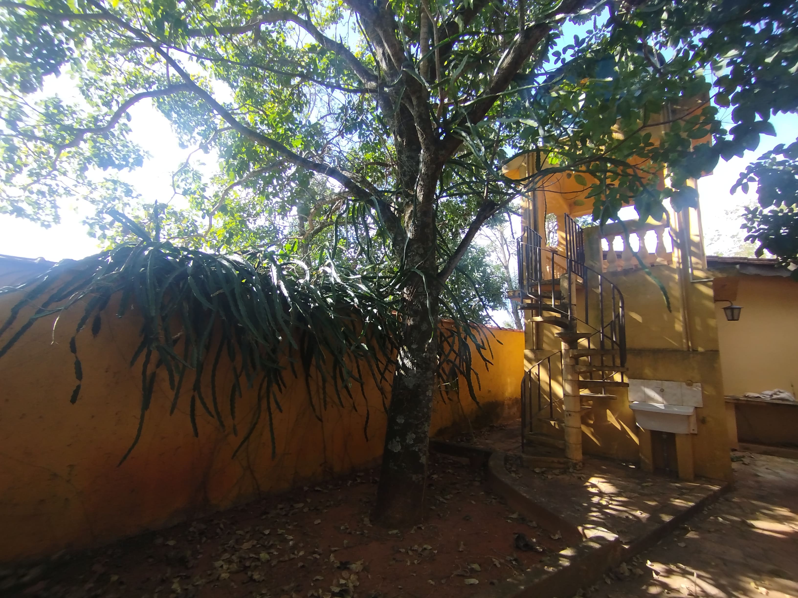Sítio com casa colonial em excelente localização