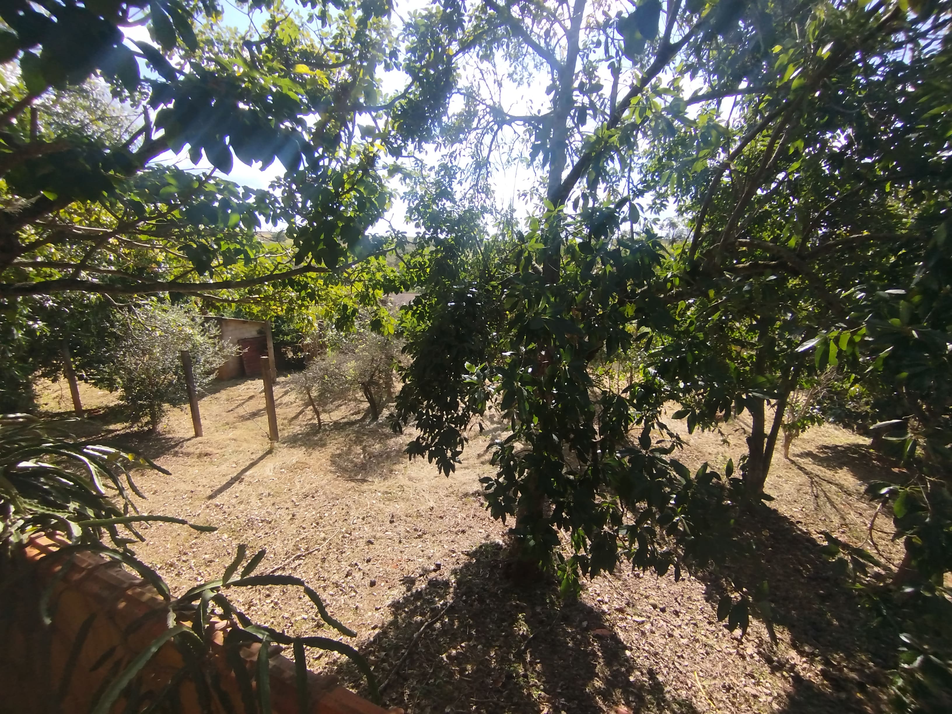 Sítio com casa colonial em excelente localização