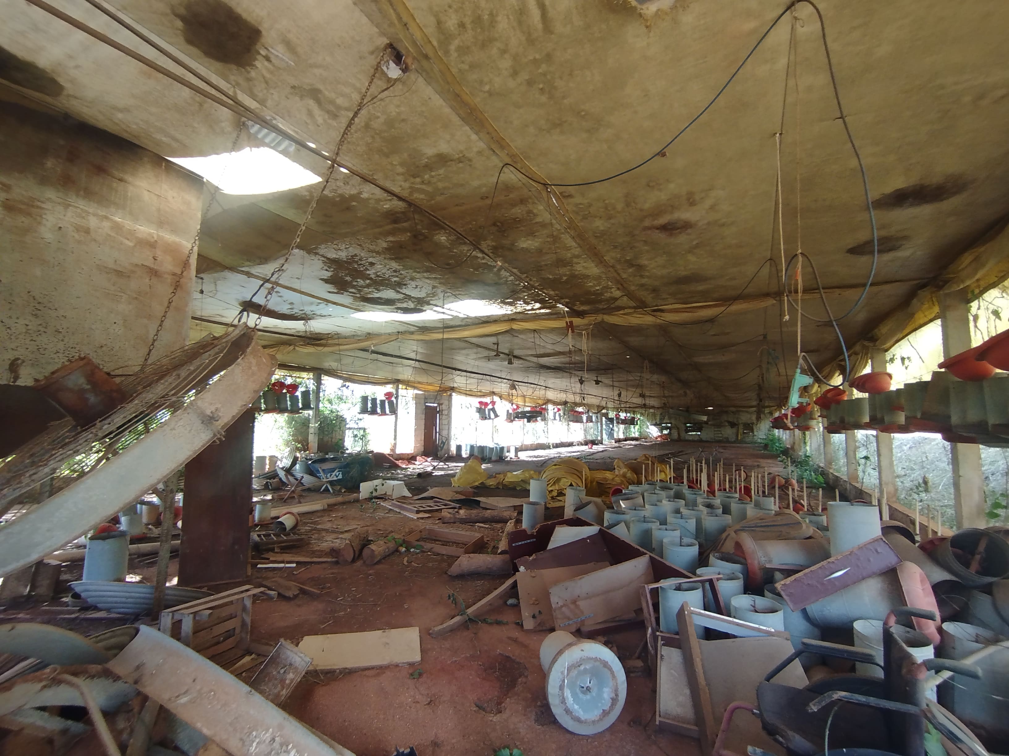 Sítio com casa colonial em excelente localização