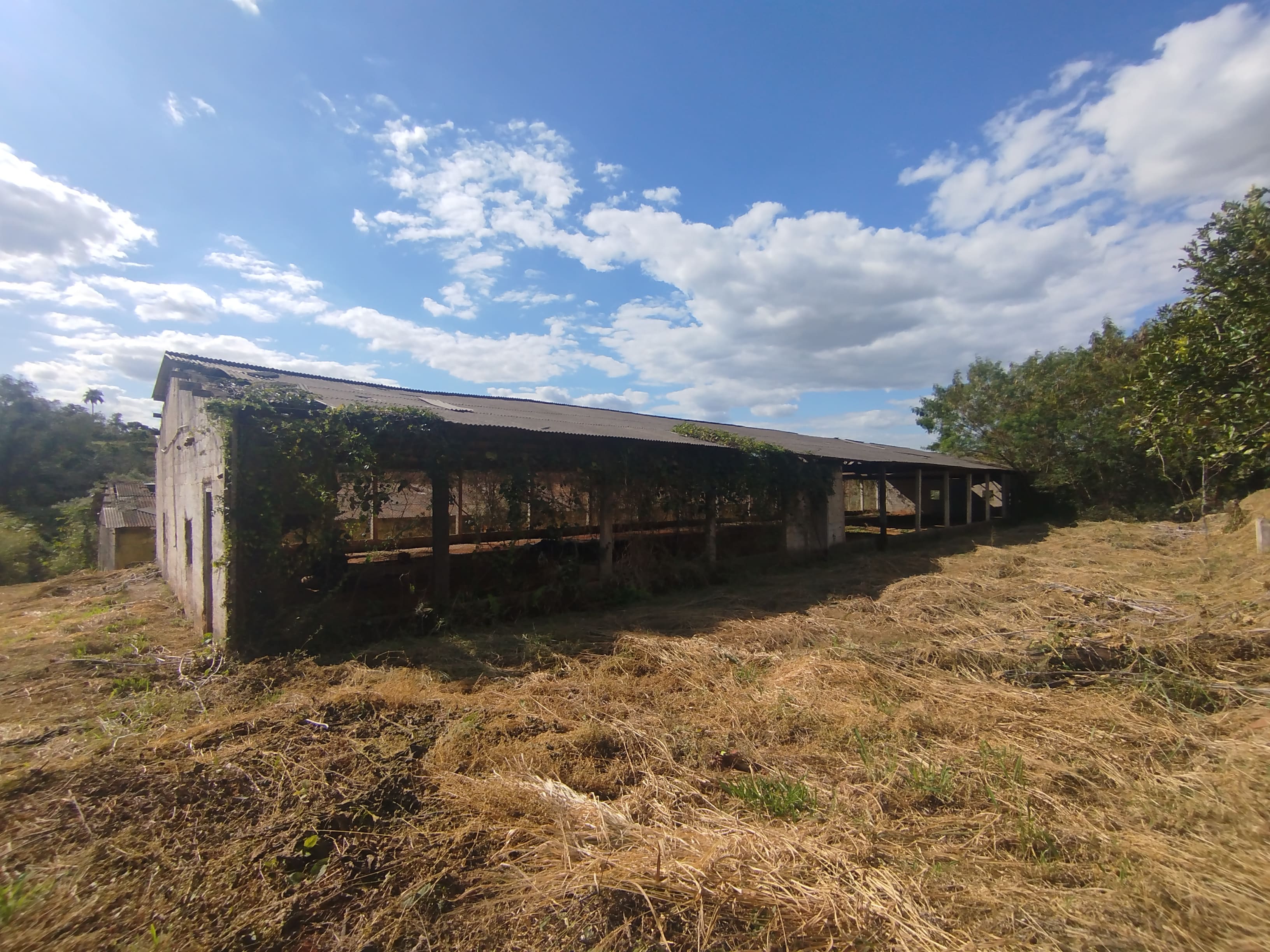 Sítio com casa colonial em excelente localização
