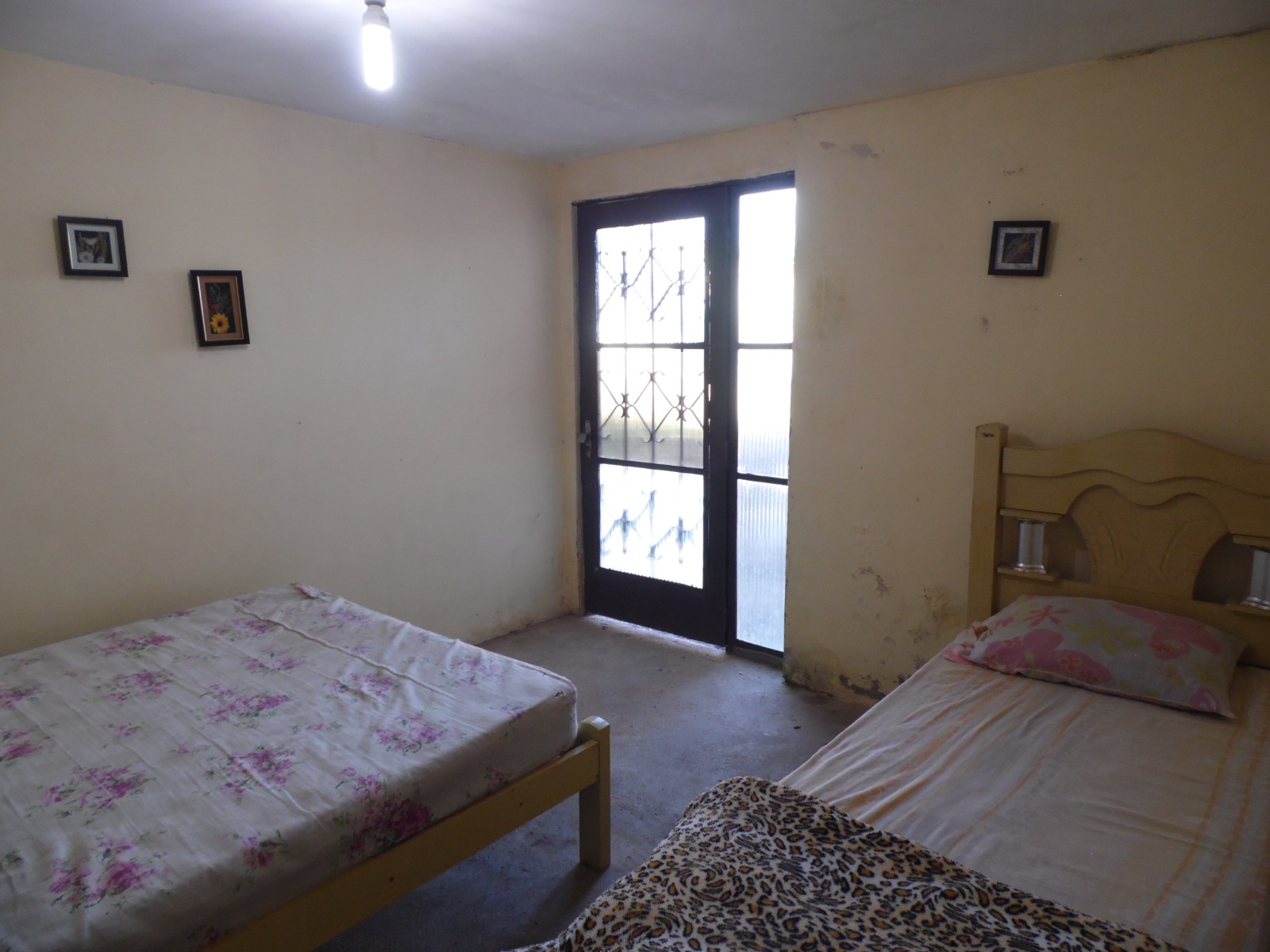 CHÁCARA CANARINHOS DA TERRA