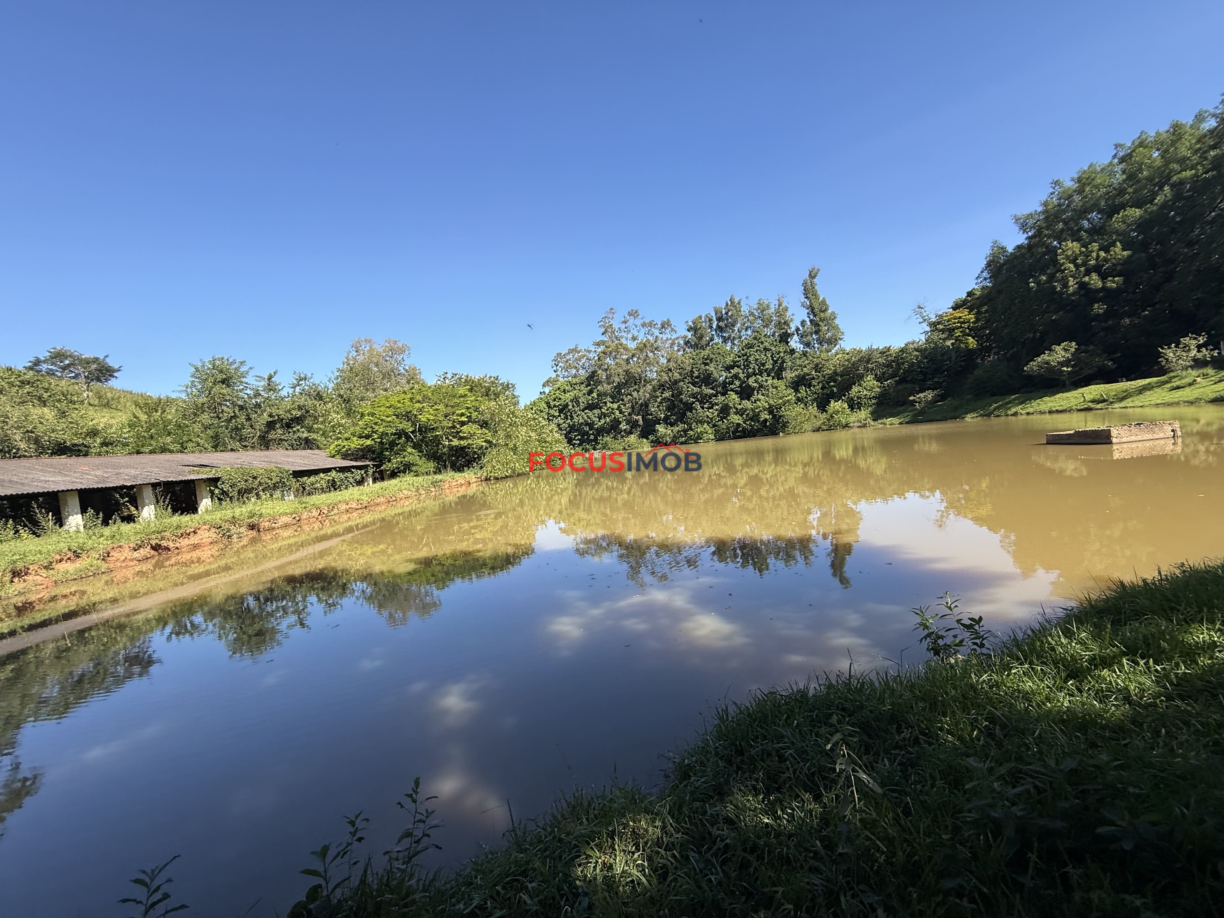 Sitio com Localização estratégica em Itapira/SP - 7 Alqueires