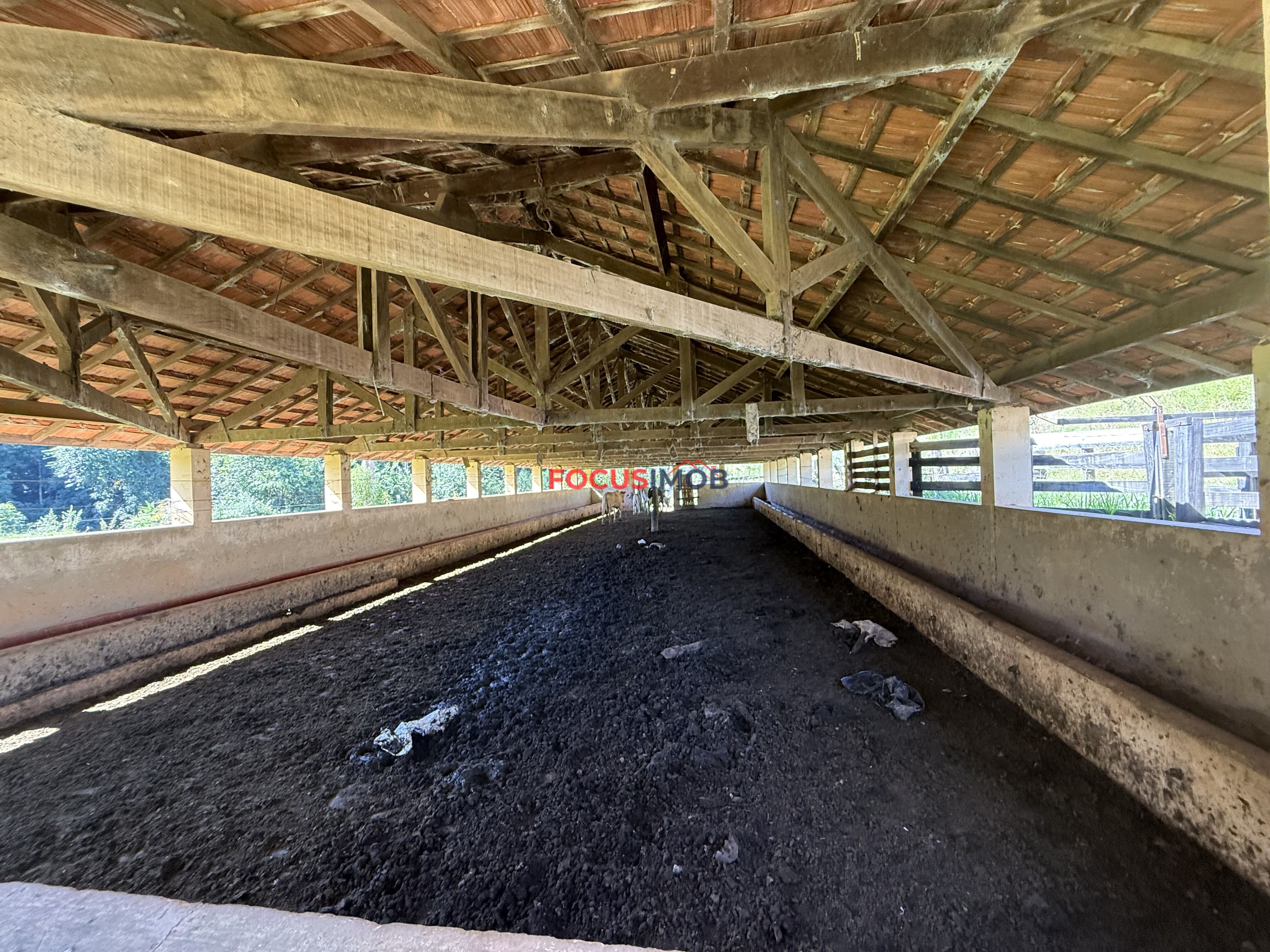 Sitio com Localização estratégica em Itapira/SP - 7 Alqueires