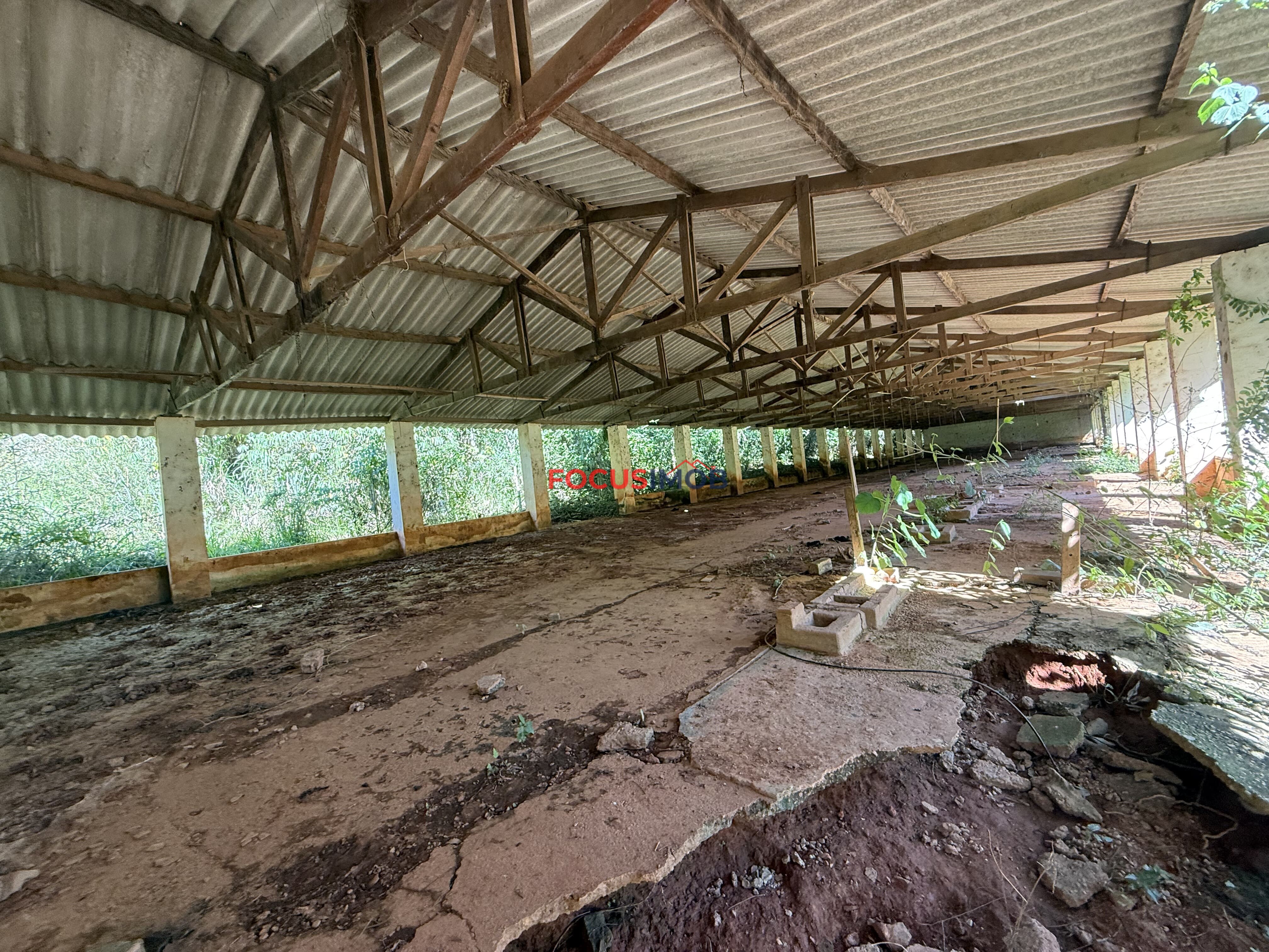 Sitio com Localização estratégica em Itapira/SP - 7 Alqueires