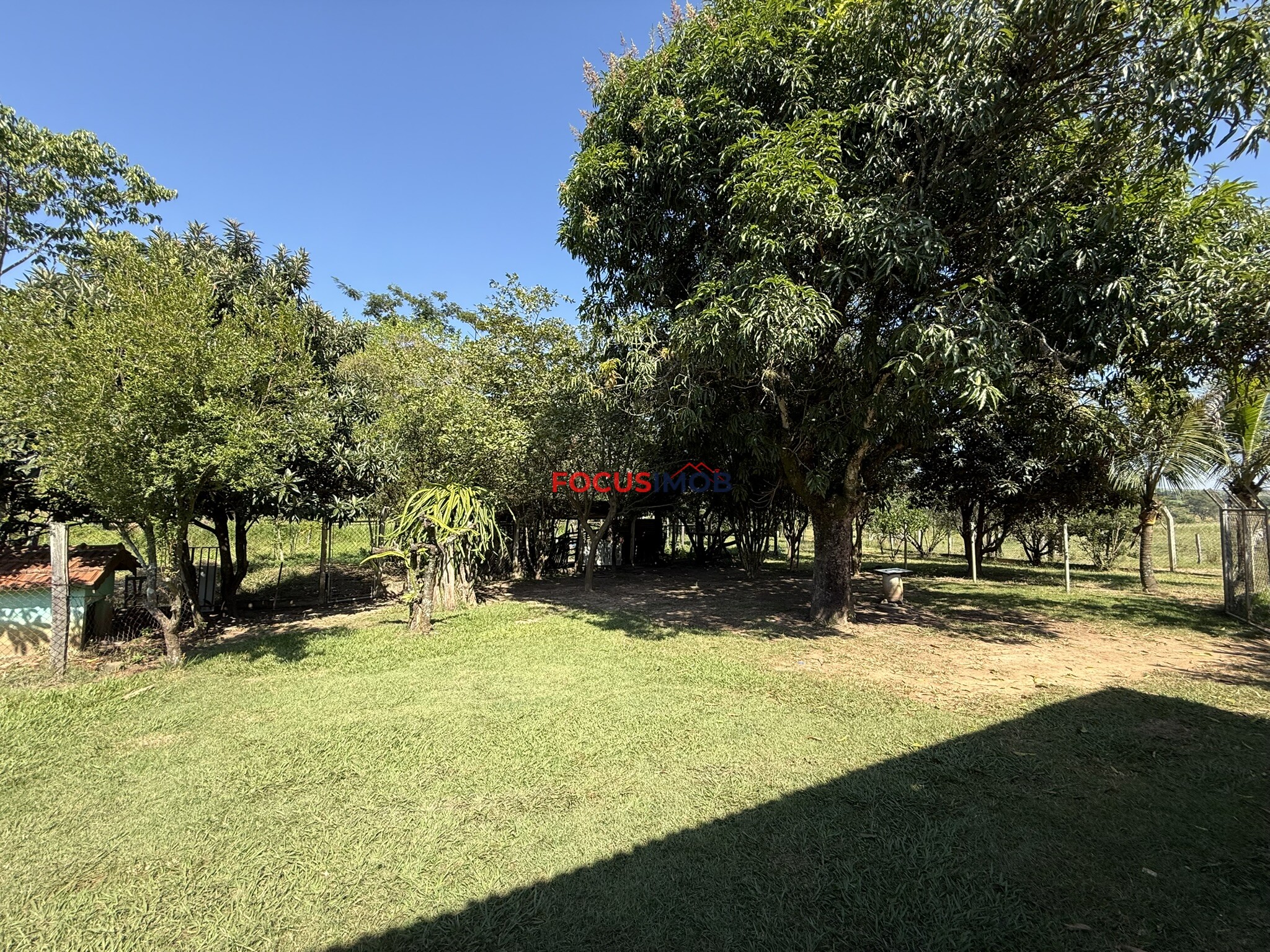 Oportunidade!!! Sitio de 3 Hectares em Mogi Mirim.