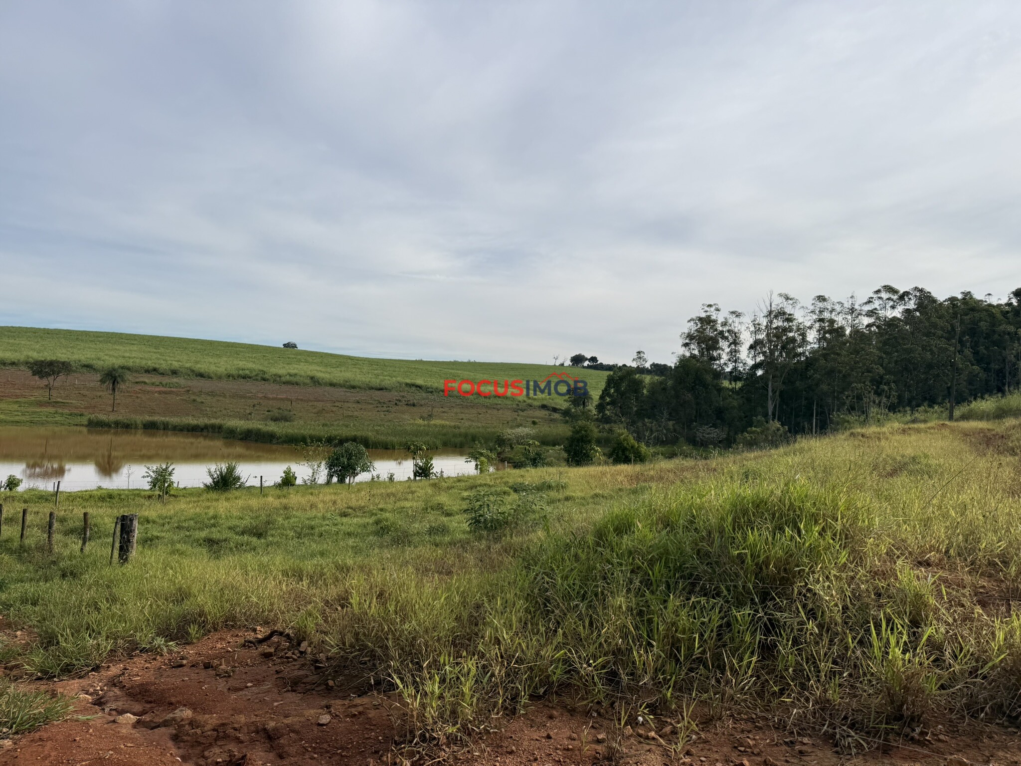 Sítio 85.000m² à Venda em Itapira/SP