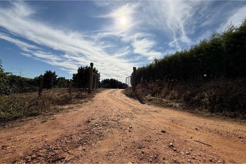 Sitio de 66.000m2 em alta produção de limão