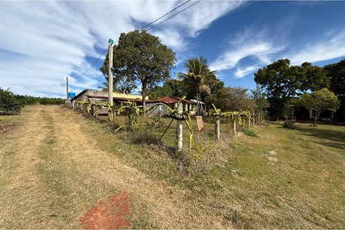 Sitio de 66.000m2 em alta produção de limão