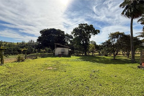 Sitio de 66.000m2 em alta produção de limão