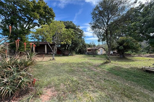 Sitio de 66.000m2 em alta produção de limão