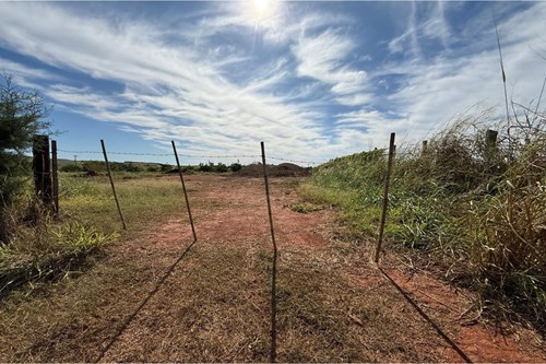 Sitio de 66.000m2 em alta produção de limão