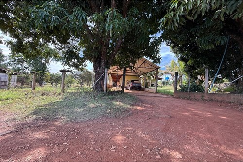 Sitio de 66.000m2 em alta produção de limão