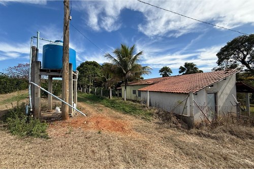 Sitio de 66.000m2 em alta produção de limão