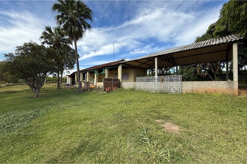 Sitio de 66.000m2 em alta produção de limão