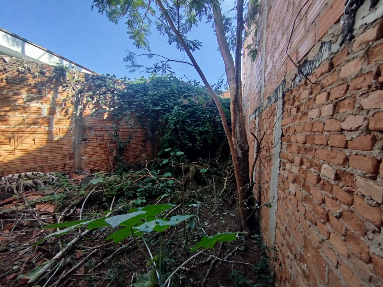 Terreno Comercial Ótimo para Investimento na Paula Bueno