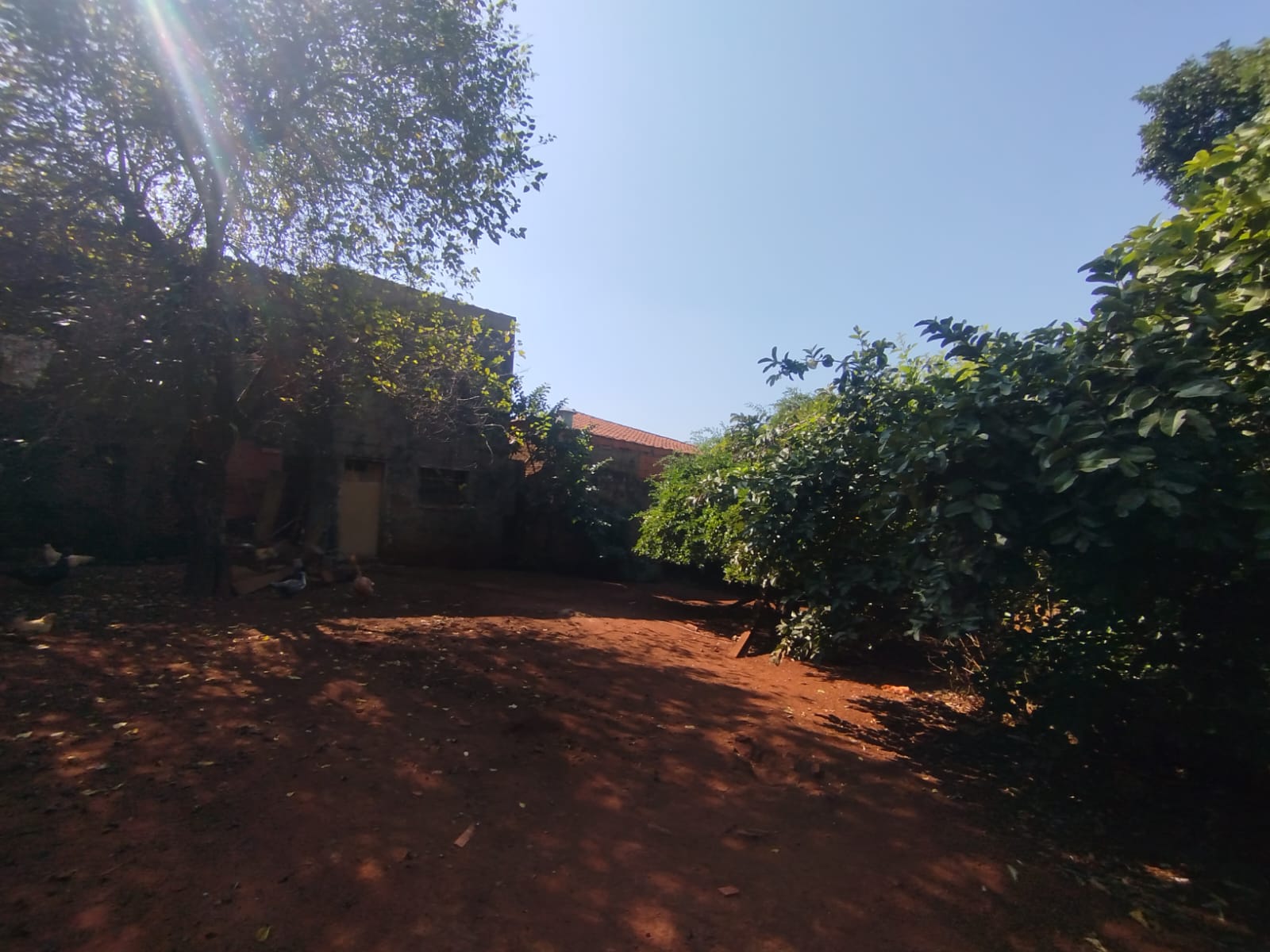 Terreno Comercial Ótimo para Investimento na Paula Bueno