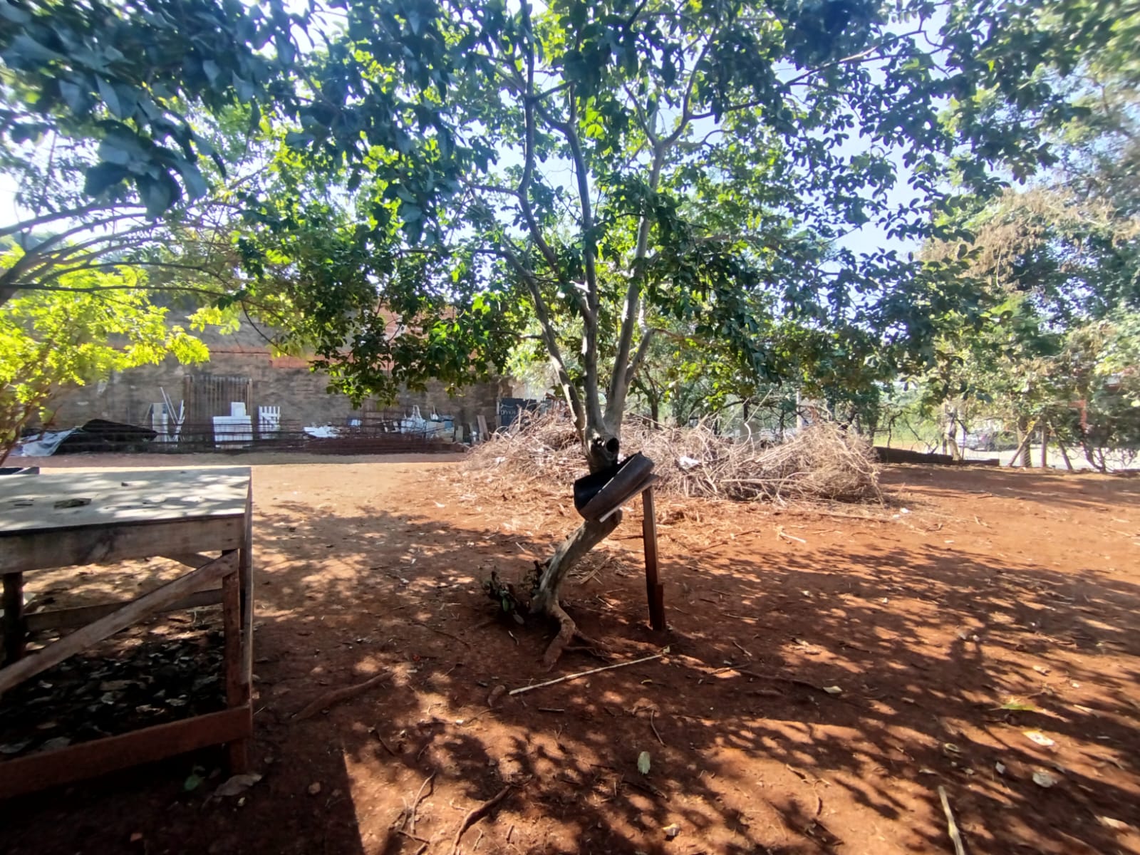 Terreno Comercial Ótimo para Investimento na Paula Bueno