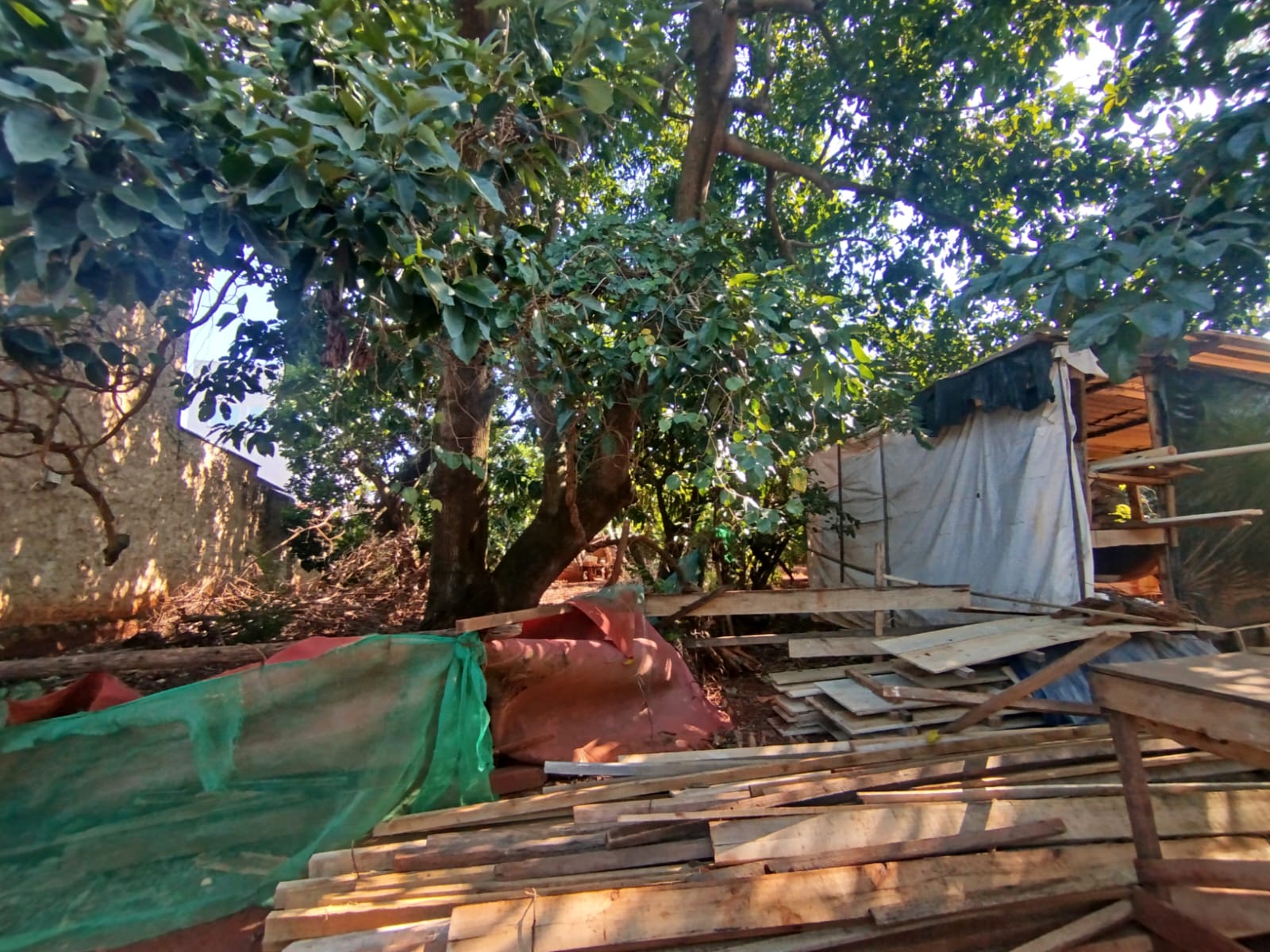 Terreno Comercial Ótimo para Investimento na Paula Bueno