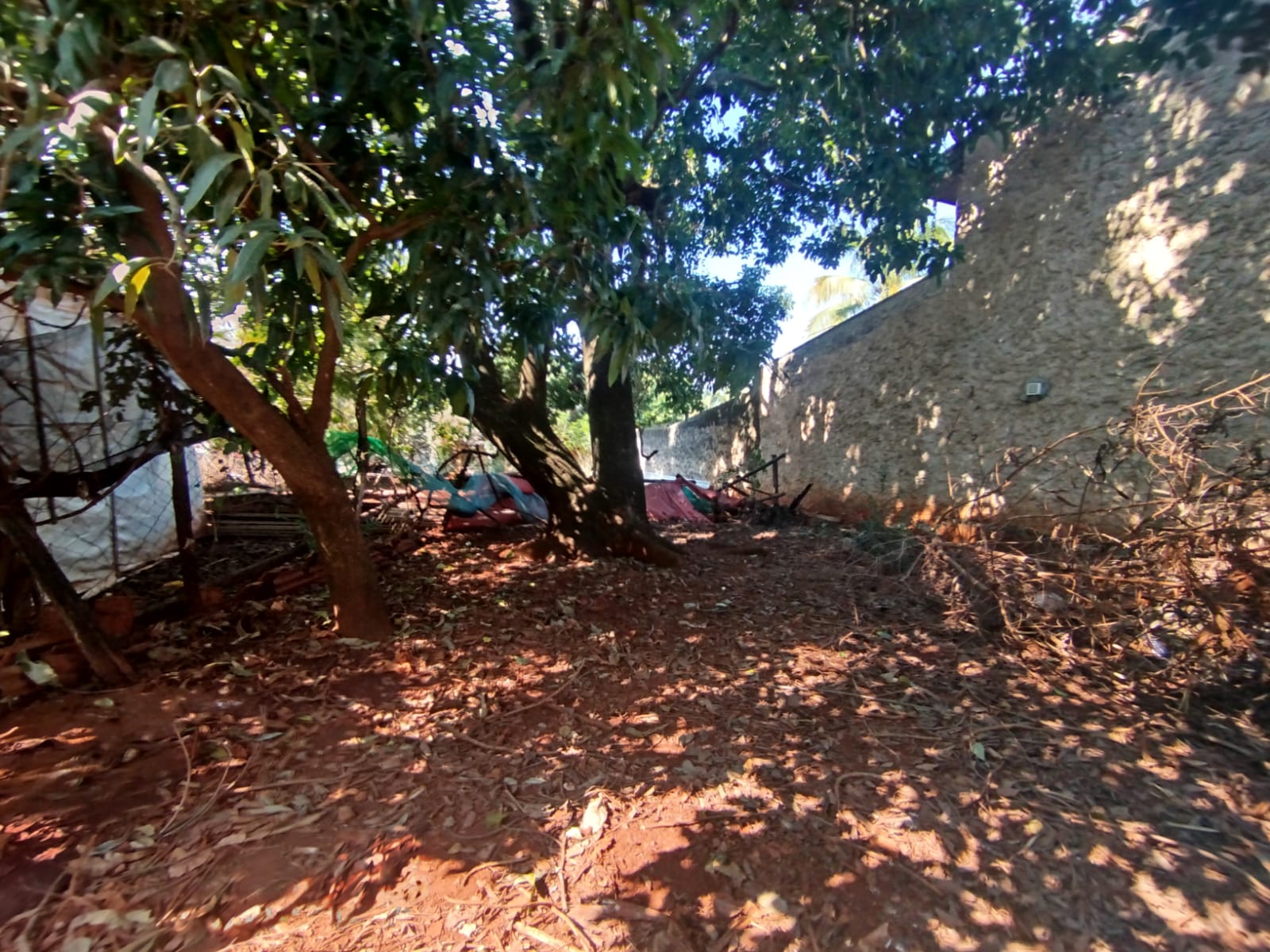 Terreno Comercial Ótimo para Investimento na Paula Bueno