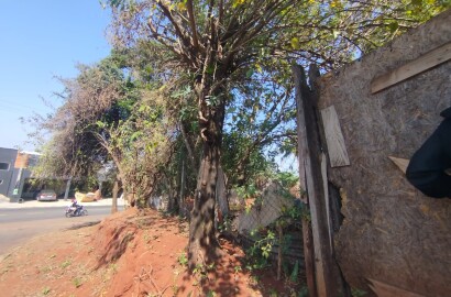 Terreno Comercial Ótimo para Investimento na Paula Bueno