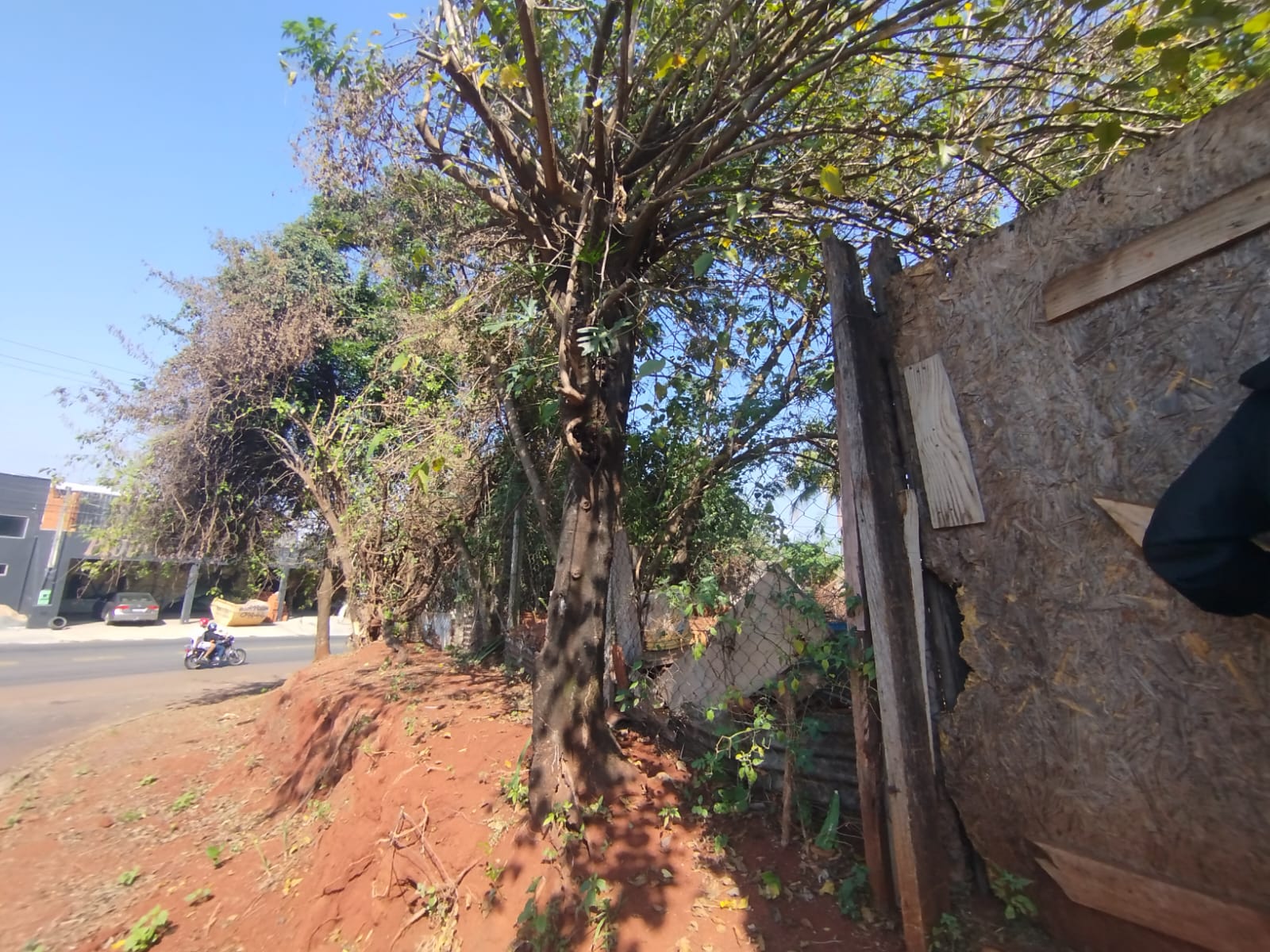 Terreno Comercial Ótimo para Investimento na Paula Bueno