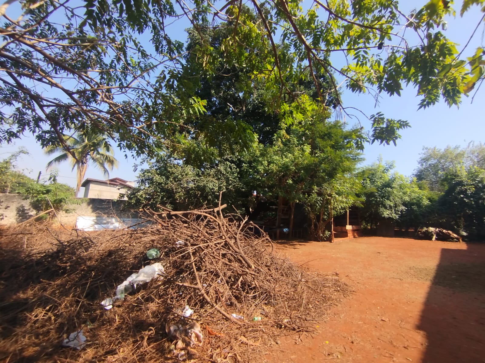 Terreno Comercial Ótimo para Investimento na Paula Bueno