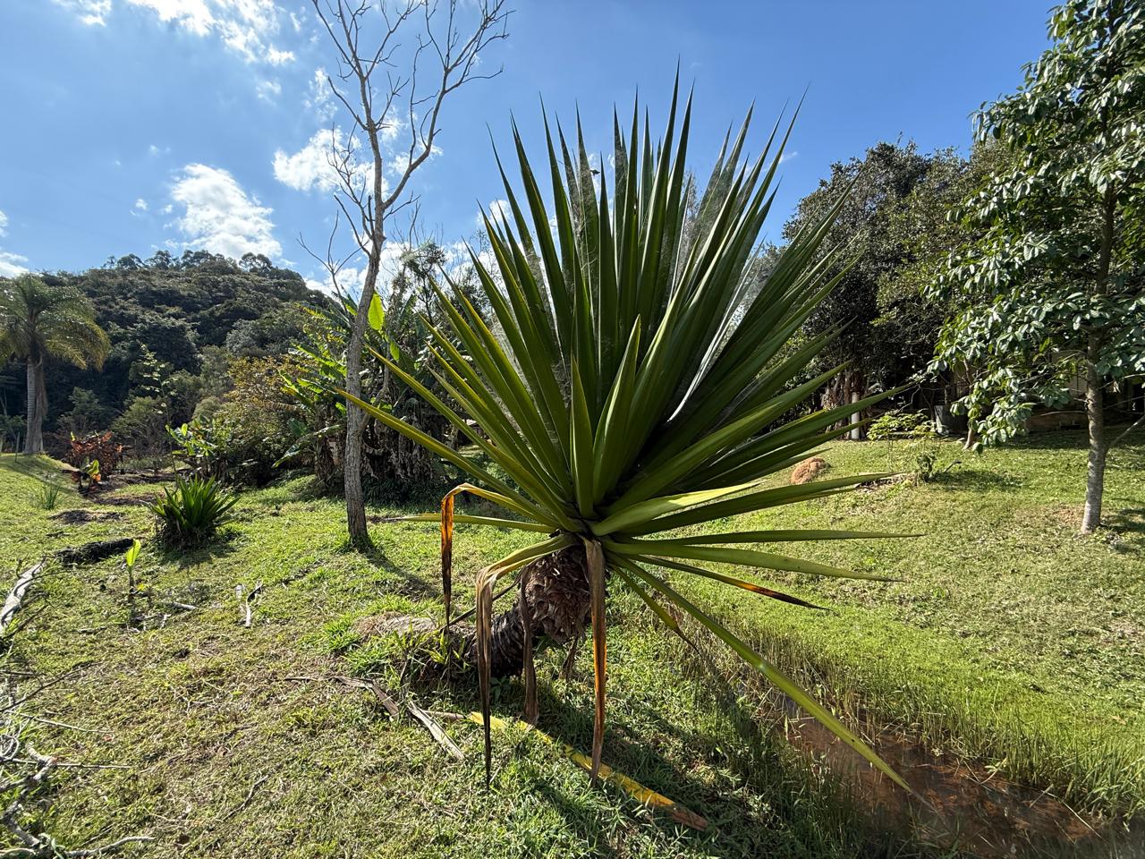 Pesqueiro em pleno funcionamento