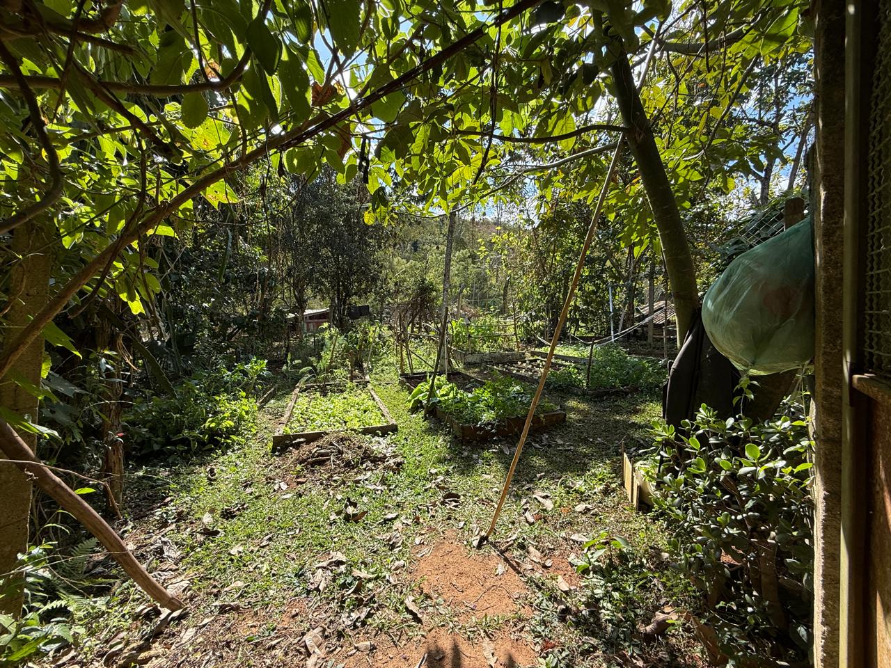 Pesqueiro em pleno funcionamento