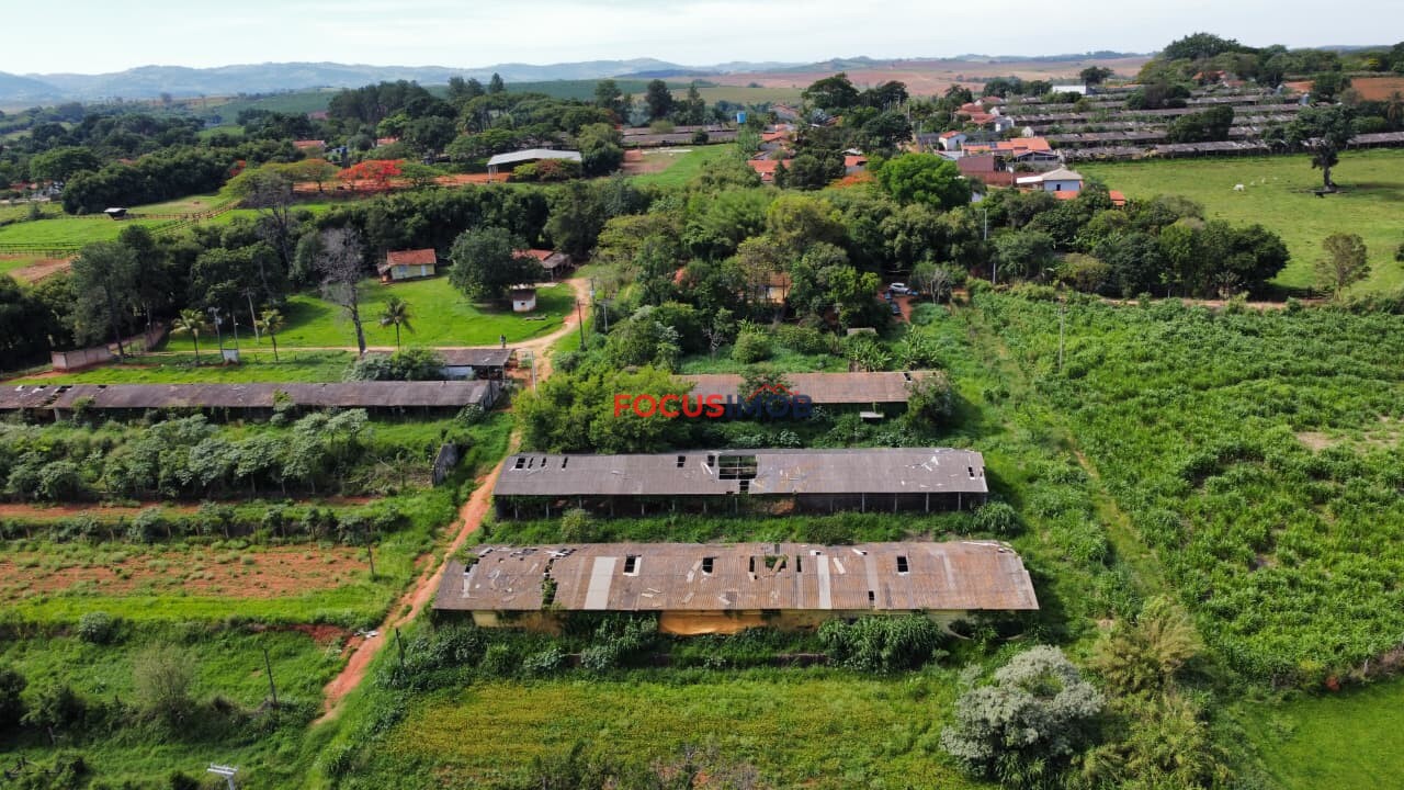 🏡 Granja Produtiva e Automatizada à Venda – Excelente Oportunidade de Investimento!