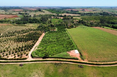 🏡 Granja Produtiva e Automatizada à Venda – Excelente Oportunidade de Investimento!