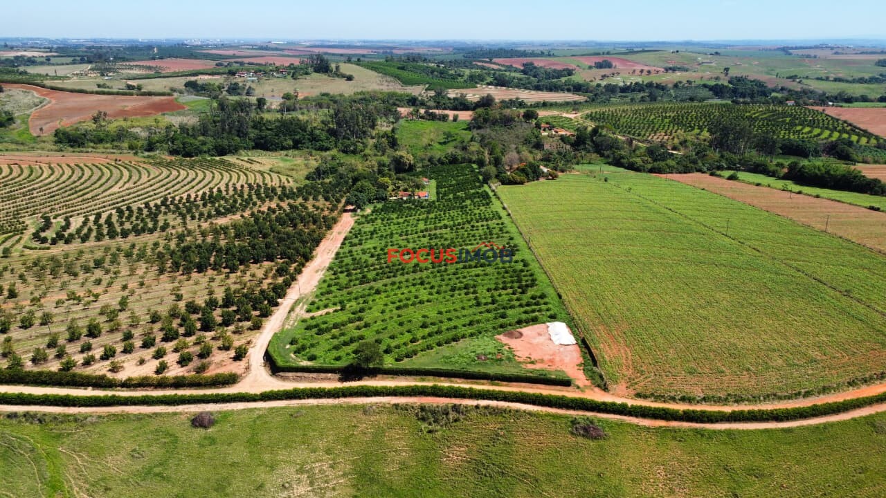 🏡 Granja Produtiva e Automatizada à Venda – Excelente Oportunidade de Investimento!