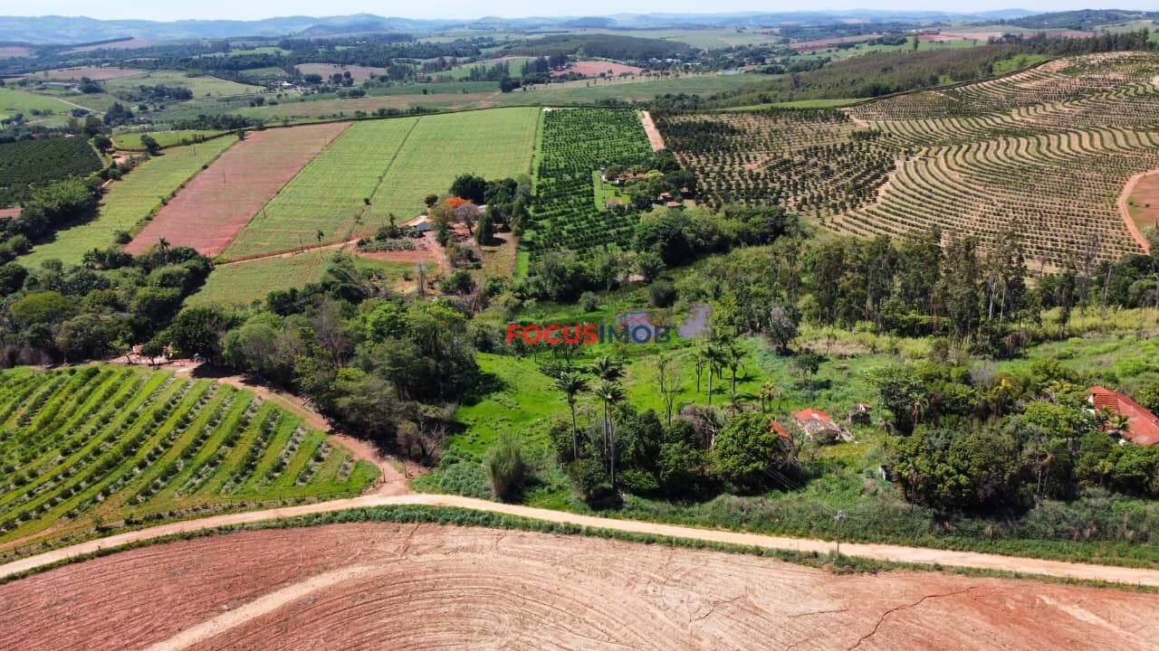 🏡 Granja Produtiva e Automatizada à Venda – Excelente Oportunidade de Investimento!