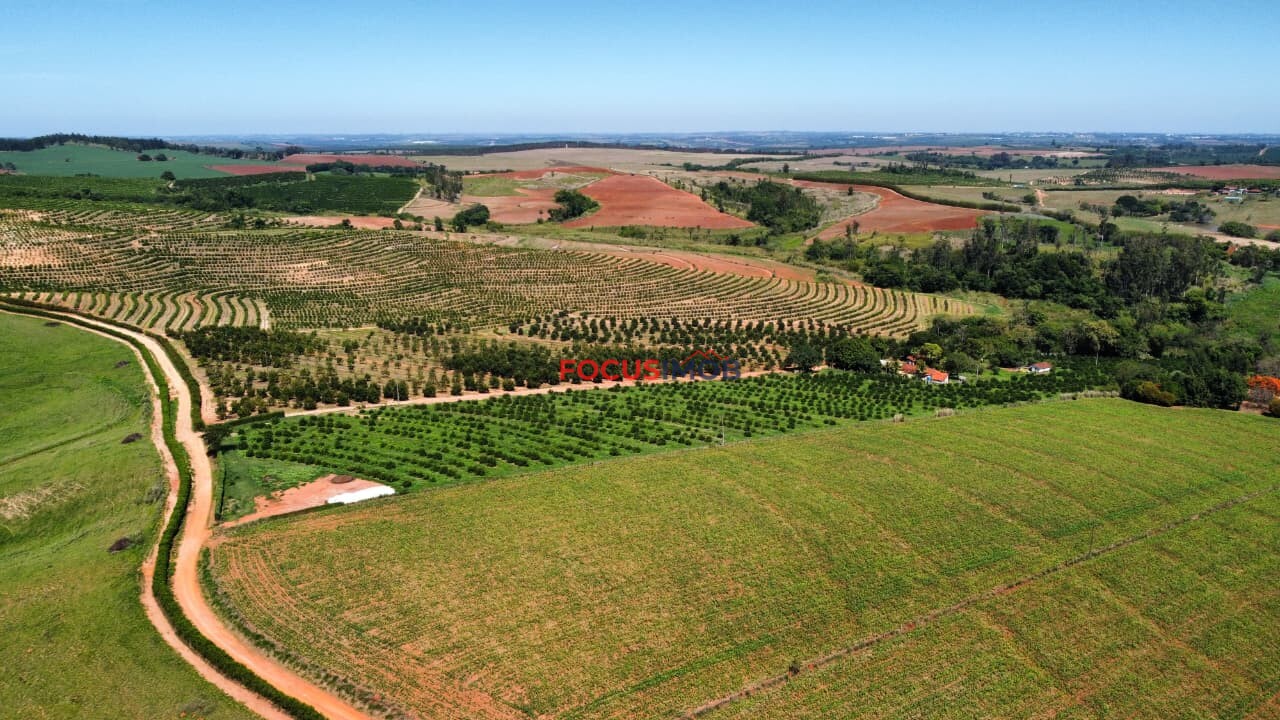 🏡 Granja Produtiva e Automatizada à Venda – Excelente Oportunidade de Investimento!
