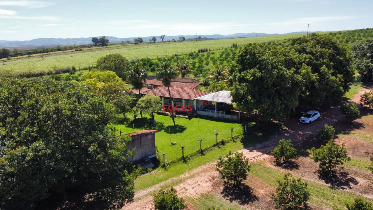 🏡 Granja Produtiva e Automatizada à Venda – Excelente Oportunidade de Investimento!