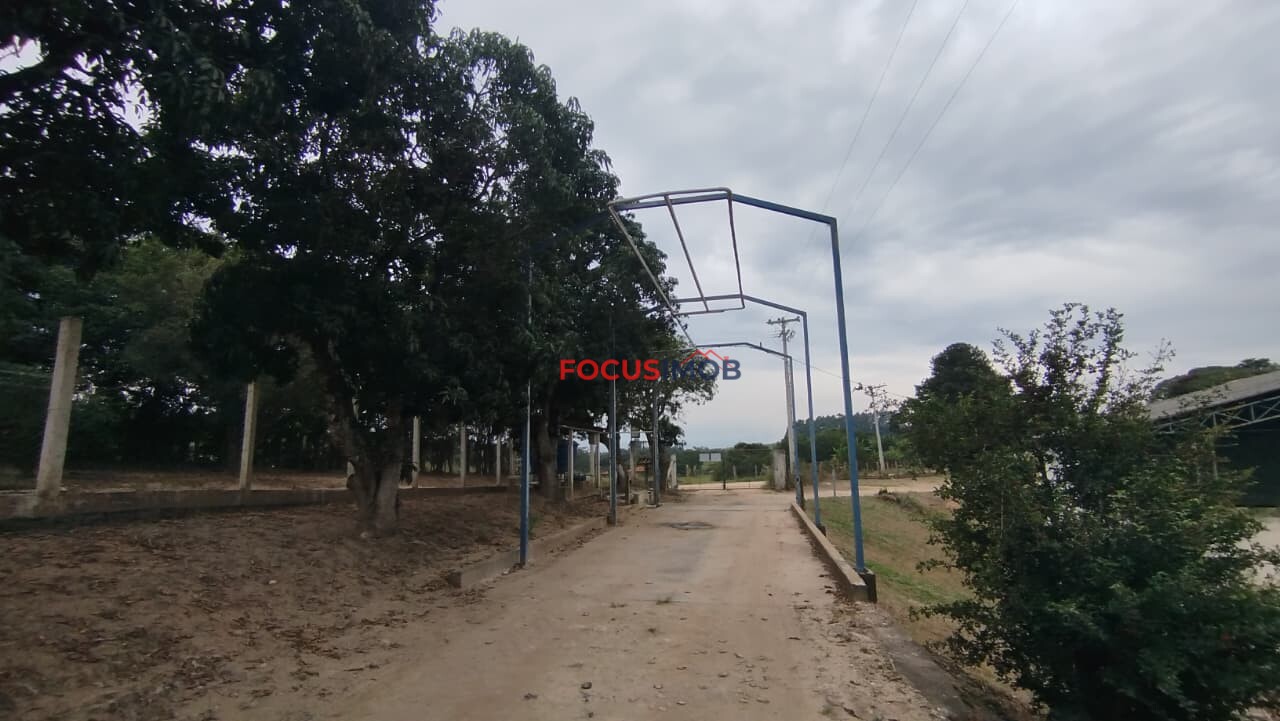 Granja Produtiva em Amparo SP - 6 alqueires