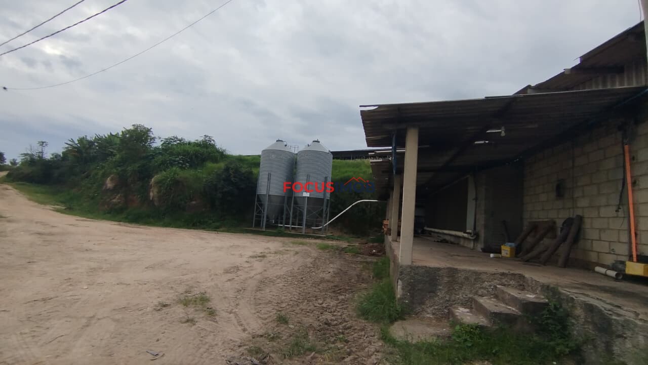 Granja Produtiva em Amparo SP - 6 alqueires