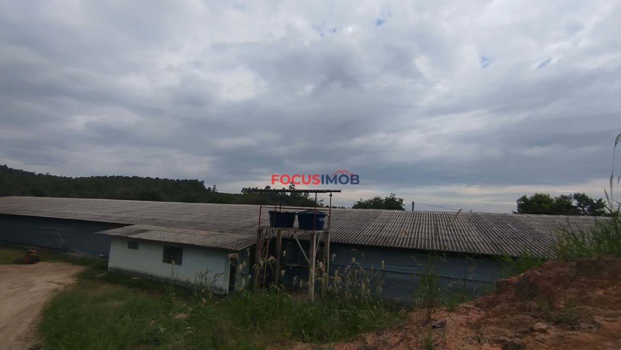 Granja Produtiva em Amparo SP - 6 alqueires