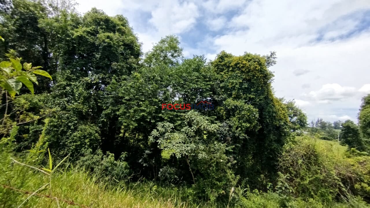 🏡 Sítio dos Sonhos em Itapira: Piscina e Lagoa à Sua Espera!