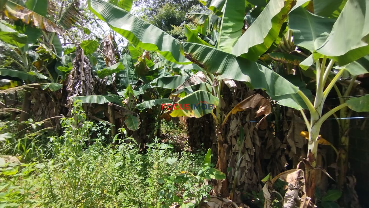 🏡 Sítio dos Sonhos em Itapira: Piscina e Lagoa à Sua Espera!