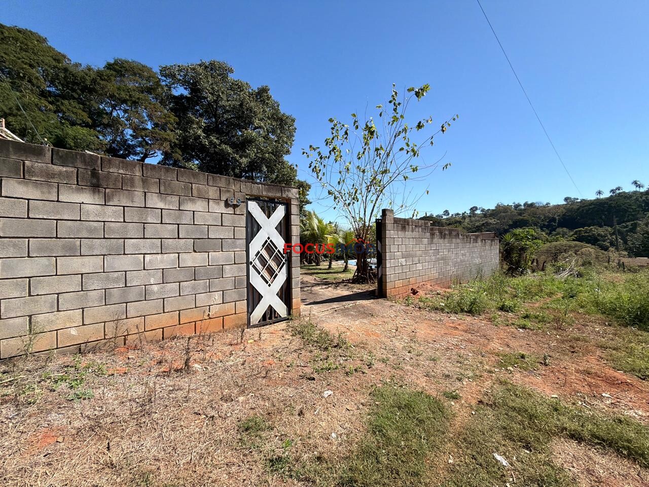 CHARACA À VENDA  NO BULGARELLI EM MOGI GUAÇU