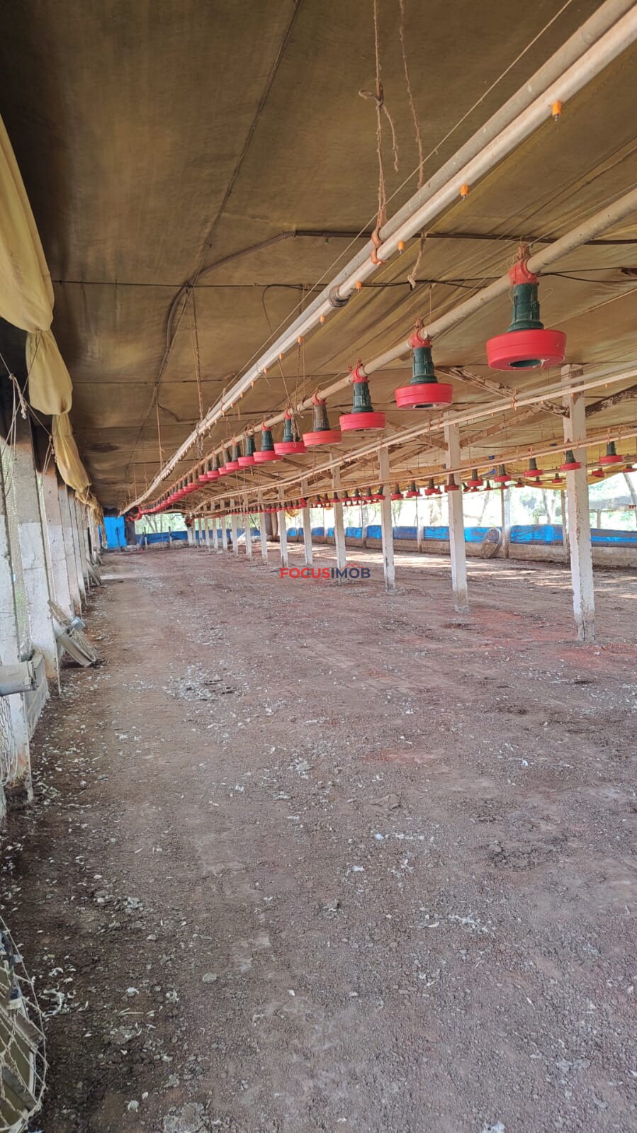 ABAIXO DA AVALIAÇÃO: Granja Pronta para Reativação em Jacutinga/MG
